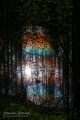 024_Biebrza - kwiecien 2012